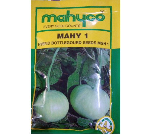 BOTTLE GOURD MGH 1