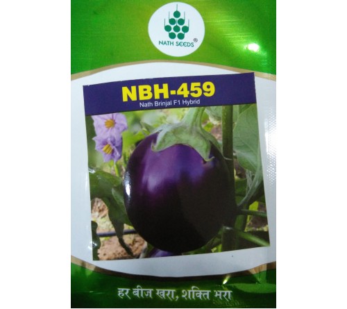 BRINJAL F1