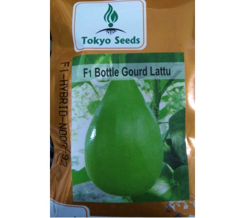 BOTTLE GOURD F1