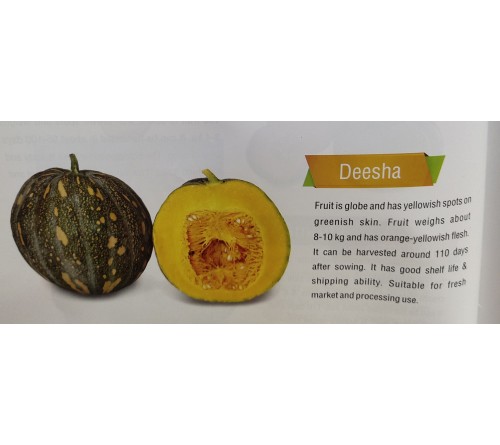 SQUASH(WINTER)-DEESHA