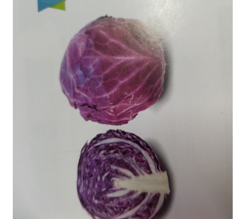 CABBAGE - SCARLET(red Cabbage)