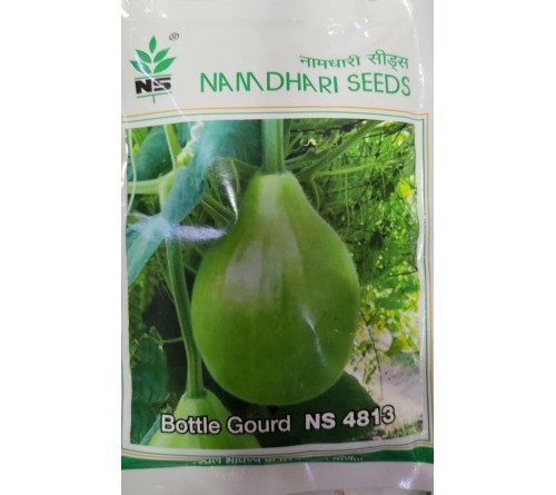 BOTTLE GOURD NS 4813