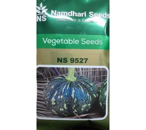 Bottle gourd NS 9527