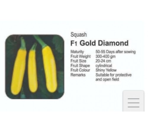 SQUASH GOLD DIAMOND