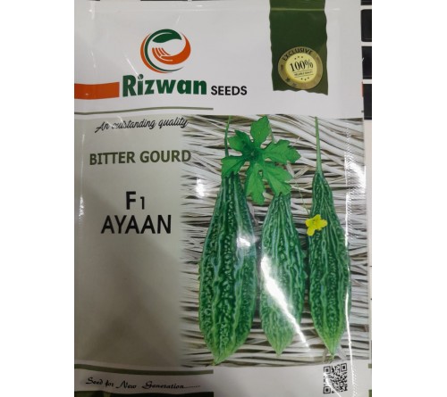 Bitter gourd F1 Ayaan