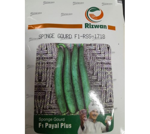 Sponge Gourd F1-RSS-1718