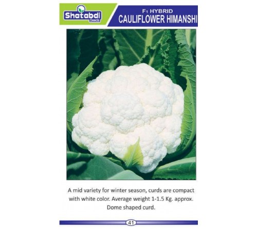 CAULIFLOWER SUPER -65 SHATABDI SEEDS