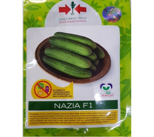 CUCUMBER F1 - NAZIA