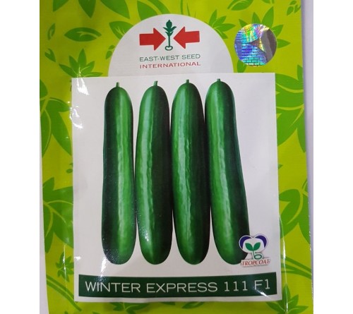 CUCUMBER F1 WINTER EXPRESS 111