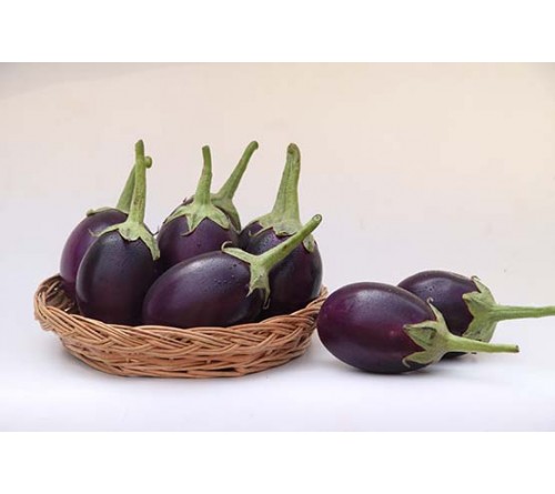 BRINJAL - JEEVA F1