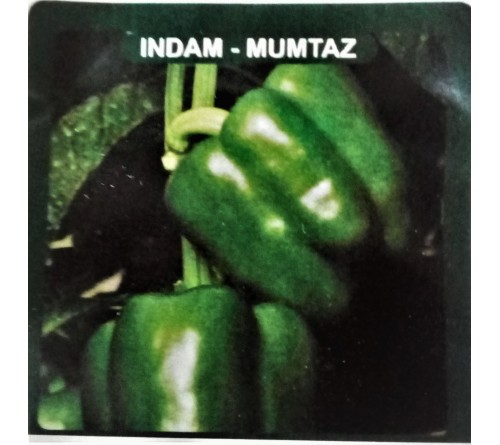 CAPSICUM - INDAM-MUMTAZ