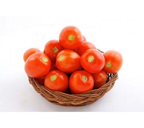 TOMATO F1 - INDAM-1004