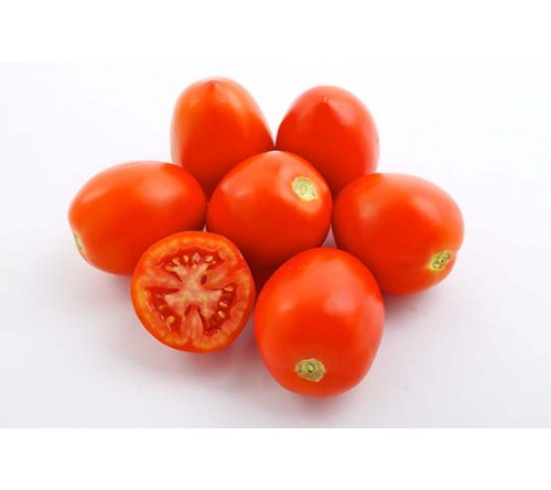 TOMATO F1 - INDAM-1006