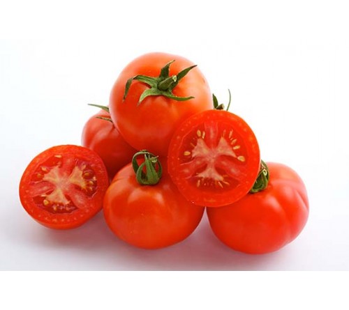 TOMATO F1 - INDAM-3003