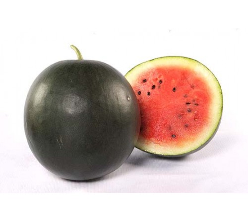 WATERMELON F1 - INDAM-CANNON-BALL