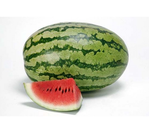 WATERMELON F1 - INDAM-SUMO-F1