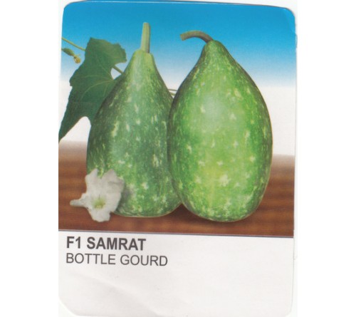 BOTTLE GOURD F1-SAMRAT