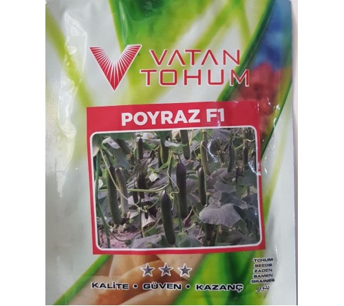 CUCUMBER SEEDS -  F1- POYRAZ (Seedless)