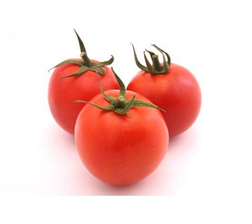 TOMATO F1 - F1 HYBRID – INDAM 2103