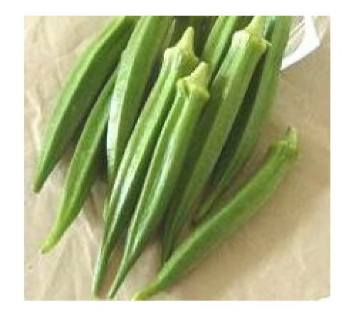 OKRA/BHINDI - GOMATI [OP]