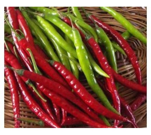 HOT PEPPERS/CHILLI F1 - TRIKAS