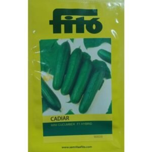 MINI CUCUMBER- CADIAR