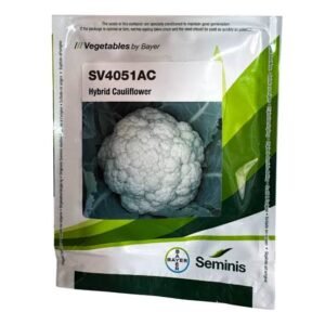 HYBRID CAULIFLOWER