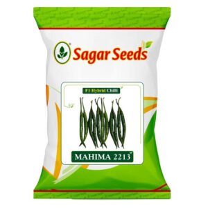 HYBRID CHILLI-MAHIMA