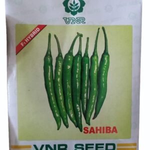 HYBRID CHILLI - SAHIBA