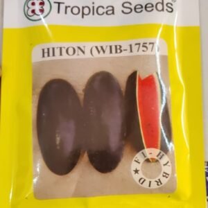 HYBRID WATER MELON - HITON (WIB-1757)