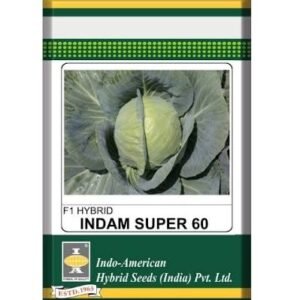 INDAM - SUPER 60