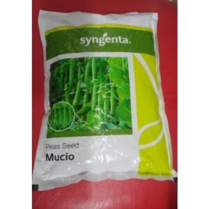 PEAS SEED - MUCIO