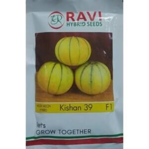 MUSK MELON-KISHAN-39