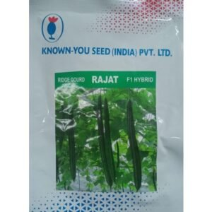 RIDGE GOURD - RAJAT