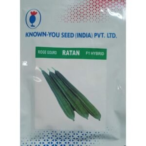 RIDGE GOURD RATAN