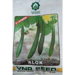 SPONGE GOURD - ALOK