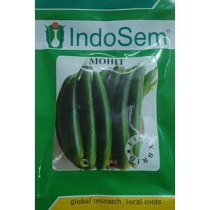 SPONGE GOURD F1 - MOHIT