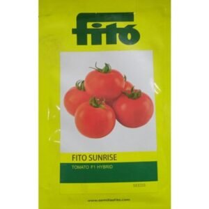 TOMATO-SUNRISE
