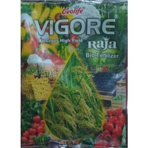 VIGORE RAJA