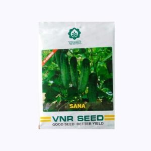 HYBRID CUCUMBER - SANA