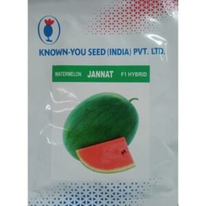 WATER MELON F1-JANNAT