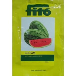 WATERMELON F1 - GULFAM