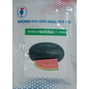 WATERMELON F1 - NAVKIRAN