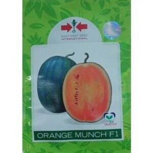 WATERMELON - ORANGE MUNCH