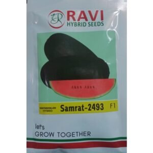 WATERMELON-SAMRAT-2493