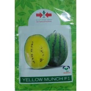WATERMELON - YELLOW MUNCH