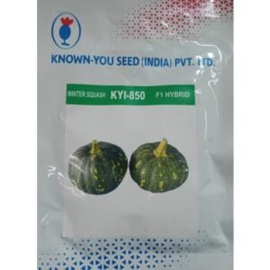 WINTER SQUASH-KYI-850