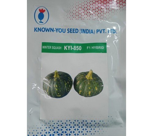 WINTER SQUASH-KYI-850