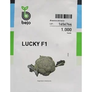 BROCCOLI LUCKY F1