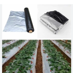 MULCHING SHEET PLAIN